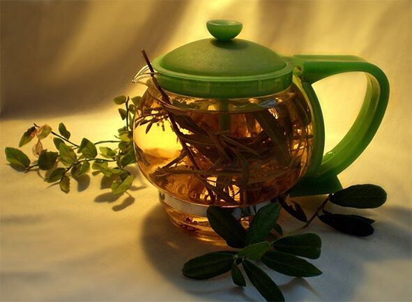 herbata ziołowa na pasożyty
