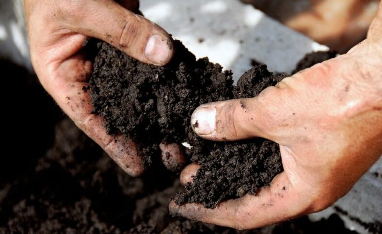 praca z glebą jako droga zakażenia robakami