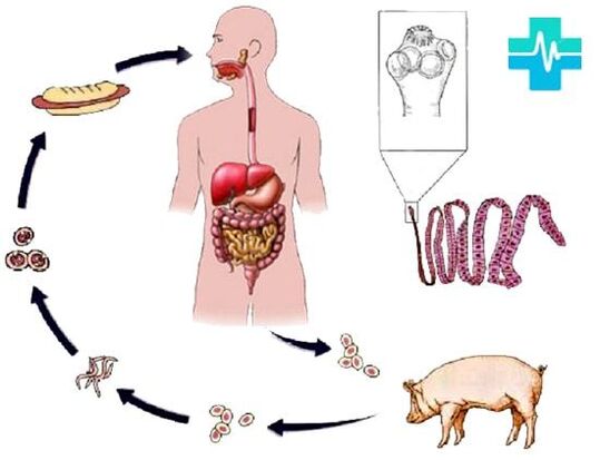 Sposoby infekcji